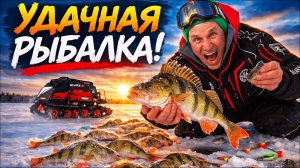 Рыбаки не ожидали такого. Окуни ковром на льду — попали на бешеный клёв | Рыбалка на IKUDZO