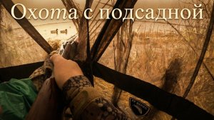 Скрадок для охоты ПФБерег | Охота с подсадной на разливах #13