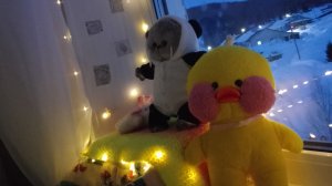 Вечерний влог стеши! Показывает вам комнату 🙈✨