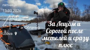 Поехал на рыбалку и не доехал до места. Пришлось рыбачить в другом месте. За сорогой и Лещ.