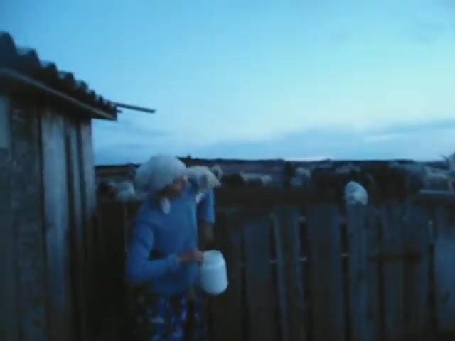 Кот ждёт молочко.