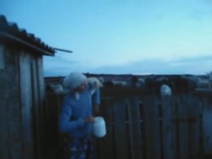 Кот ждёт молочко.
