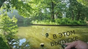 Самый маленький поплапоппер, ловля в жару #спиннинг