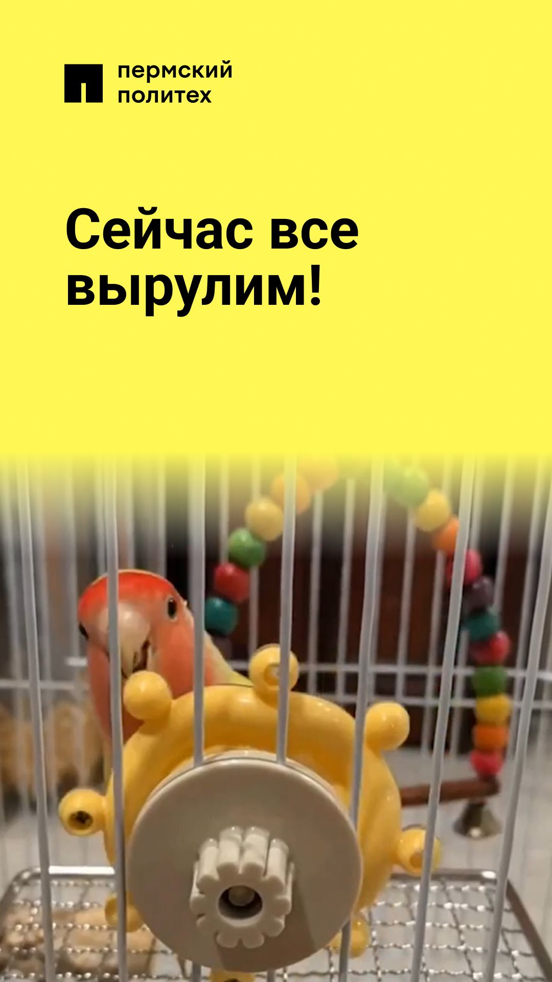 Наконец-то взялся за голову