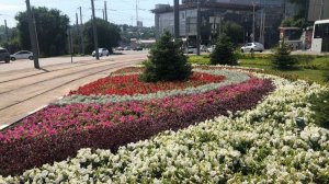 УТРЕННЯЯ ПОЧТА ! МОСКВА БЕЗ ИНТЕРНЕТА! У ВАСЕВСКИХ ОЛИЬВЬЕ С СОПЛЯМИ!