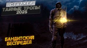 БАНДИТСКИЙ БЕСПРЕДЕЛ ➤ Сталкер Тайные Тропы (2025) #25