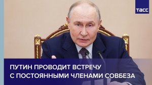 Путин проводит встречу с постоянными членами Совбеза