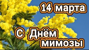*** ВЕТКА МИМОЗЫ  – ЛЕСОПОВАЛ *** 14 МАРТА - ДЕНЬ  МИМОЗЫ!