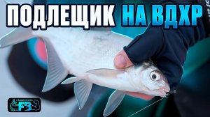 Лещ клюет на всё! Свежая вода идет в лунки!