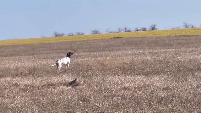 Едан. 13.03.26 смотреть онлайн
