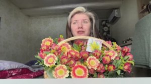 Рассказываю что случилось