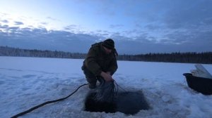 Серия третья. Первая проверка сетей. Рыба есть!!!