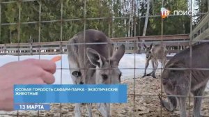 Комплекс "Изумрудный лес" получил туристическую премию