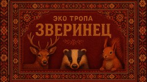 ЗВЕРИНЕЦ - ЭКО ТРОПА. СТРАННЫЕ МАГИЧЕСКИЕ СИМВОЛЫ И БОЛОТО.