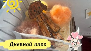 Дневной влог