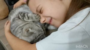 Превью о нашем канале