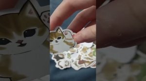 показываю новые наклейки