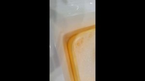 как поменять хомяку наполнитель если у тебя пластиковая клетка