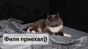 Филя приехал))