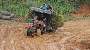 Рисовые поля Вьетнама. Работа техники на бездорожье