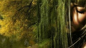 Татьяна Штерн - Плачет ива над водою