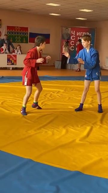 Новая Чигла, чистый Шейкина