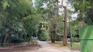 🇭🇷🇭🇷Прибрежный парк 🇭🇷🇭🇷Опатия 🇭🇷🇭🇷