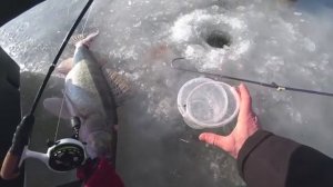 У НАС 80 % ЛОВИТ ТОЛЬКО НА ЭТУ СНАСТЬ рыбалка зимой