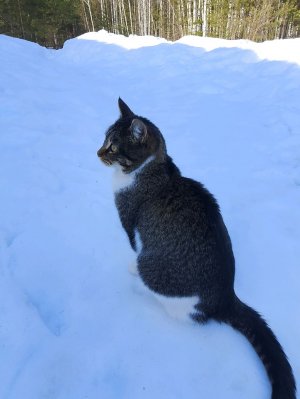 Я живу в машине 24 часа ! не выхожу на улицу подпишись скорее живу с сестрой