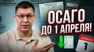 Кому срочно нужно ОСАГО до 1 апреля 2026?