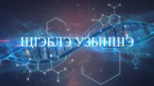 «Щ1эблэ узыншэ»