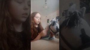 Я НОВЫЙ ХОББИХОРСЕР!
(Хоббихорсинг °^°)