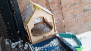 с добрым утром зоопарк