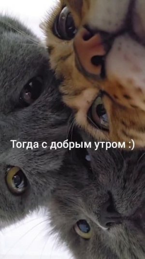 Надеюсь, никто не проспал