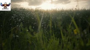 Саида Эмирасланова - Гъил Къачу