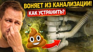 Запах из канализации. Как устранить своими руками
