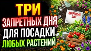 Какие три запретных дня для посадки любых растений убивают рассаду за одну ночь?