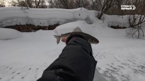 Сибирский лов. Выпуск 99