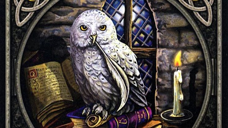 Что сейчас Вам важно знать