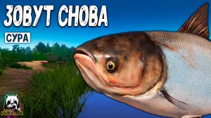 Rf4 сюда охота снова и снова возвращаться #рр4