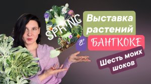 Выставка растений в Бангкоке: шок, впечатления, удивления