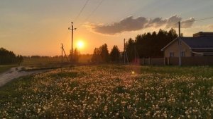 я возвращаюсь в ав ❕🫐