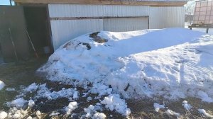 Вессение хлопоты. Отдаю  бесплатно.