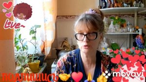 🖋️🚀С БАРБАРУШЕЙУЖЕ МНОГО ЛЕТ  💃🔥МОИ БУДНИ 🖋️🚀