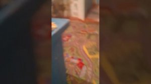 показывай свою АЭС