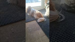 Растяжка😊