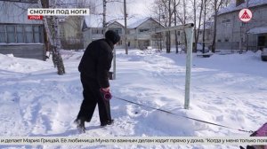 Проблема выгула животных. 13-03-2026