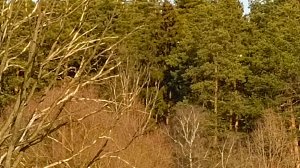 Эх фигня получилась