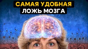«От меня ничего не зависит»: психология выученной беспомощности