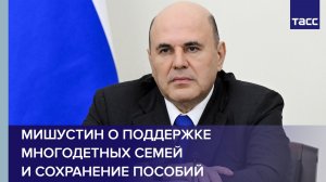 Мишустин о поддержке многодетных семей и сохранение пособий